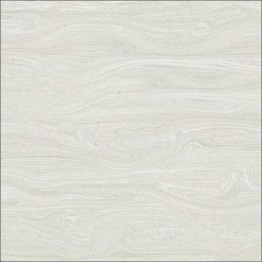 Gạch lát sàn Trường Thịnh ART & STYLE G31209